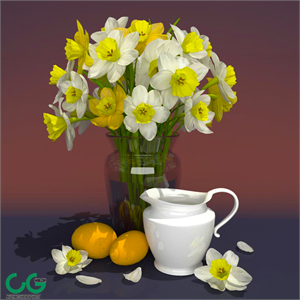 Daffodils
